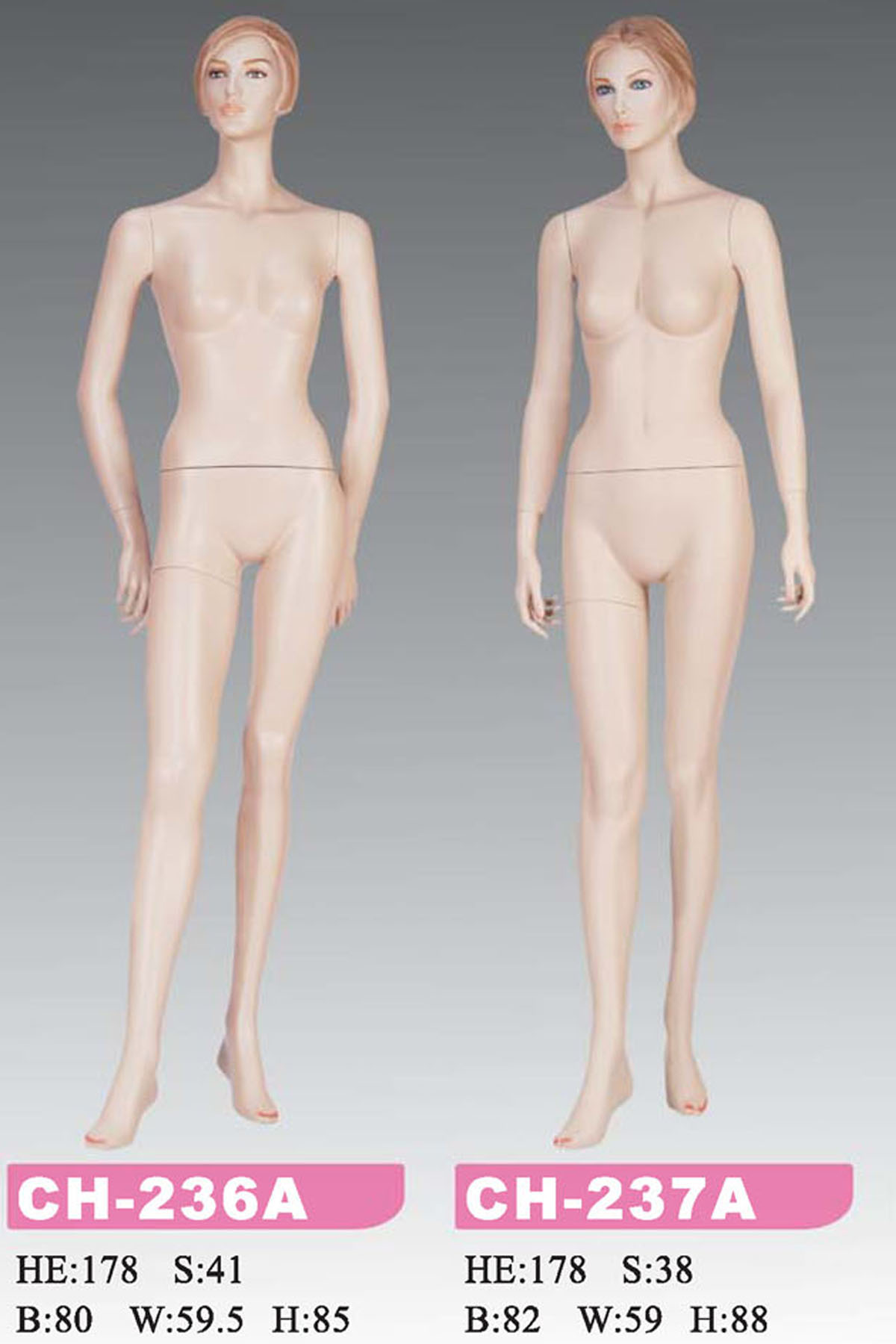 女模特兒