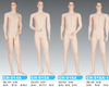 男全身有頭模特兒MU-5A
